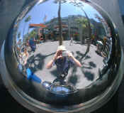 hollywood speil.jpg (174298 byte)