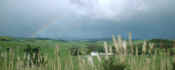 green landscape rainbow.jpg (45802 byte)