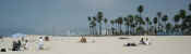 venice-beach2.jpg (63571 byte)