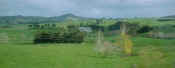 green landscape1.jpg (36875 byte)